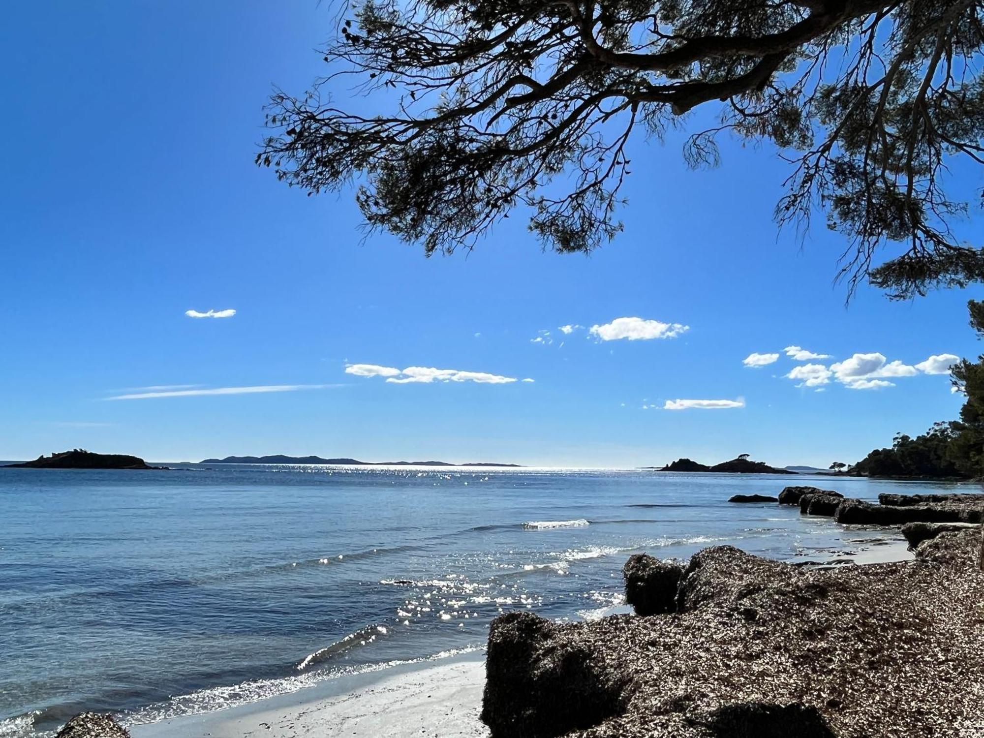 Port De Hyeres L'Etoile Marine Lejlighed Eksteriør billede